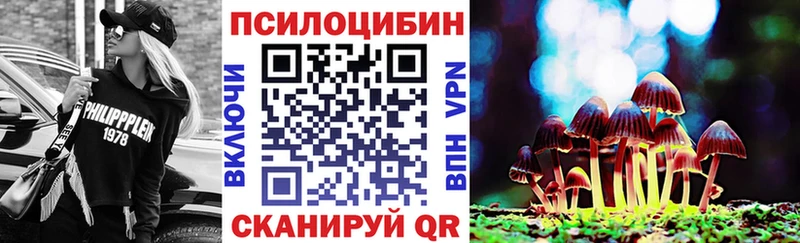 Псилоцибиновые грибы Psilocybine cubensis  Купить закладки  Олонец 