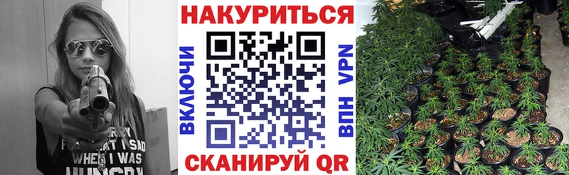Бошки Шишки White Widow  Купить  Олонец 